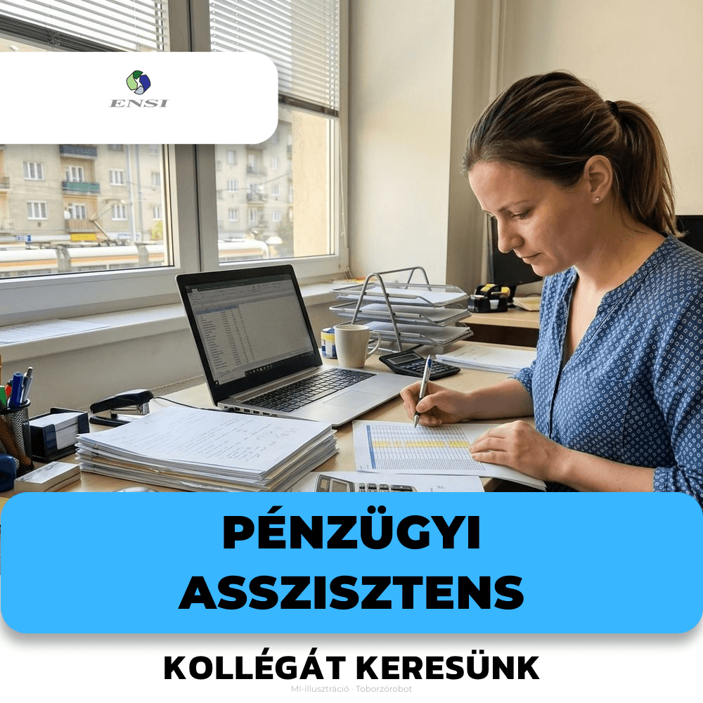 Pénzügyi asszisztens