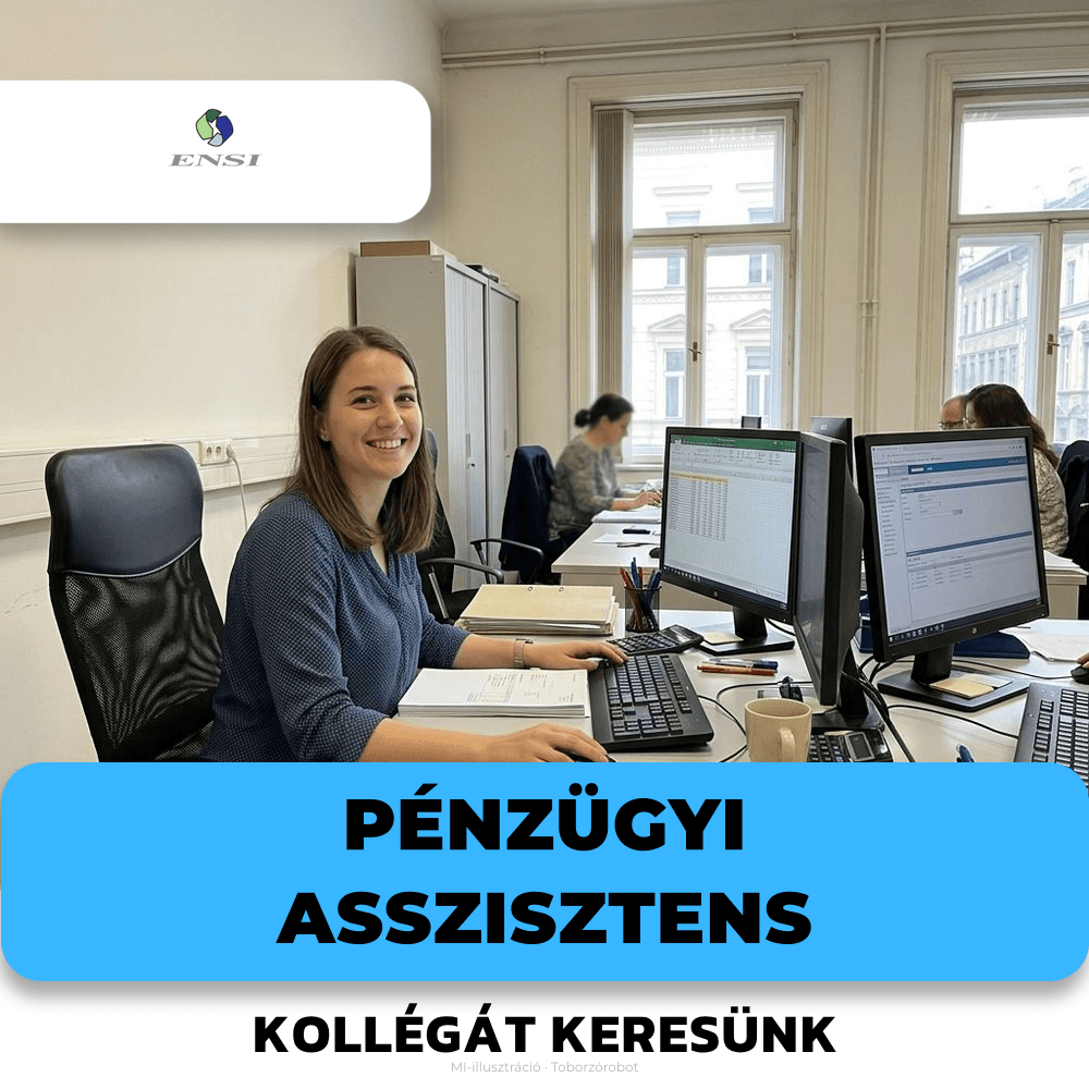 Pénzügyi asszisztens
