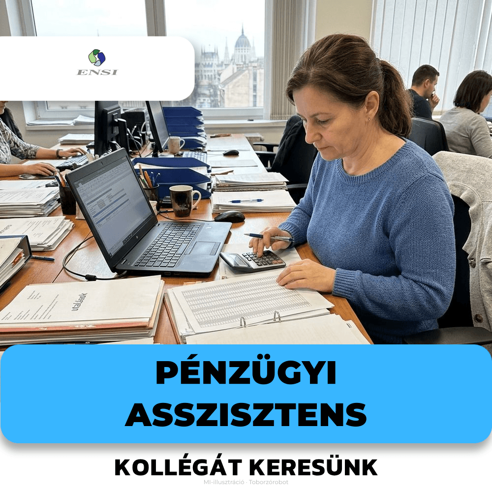 Pénzügyi asszisztens